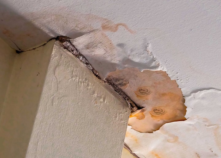 Water-Damage-Mold-Removal-scaled water damage mold removal
